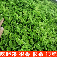 脱水蔬菜莴苣干500g湖南农家自制新货干莴笋片嫩莴苣新鲜莴笋干货