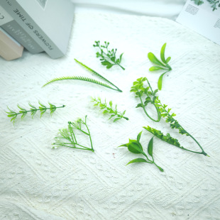 ���滨�����c�Y����~���쾰����ˮ�ݼٲݹ��S���lֲ�����Gֲ