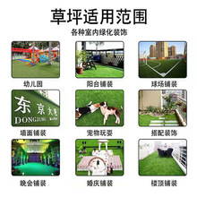 �����ƺ �Gɫ������� ���^���e�ʘ��׃��@�b������ƺ�S�����l