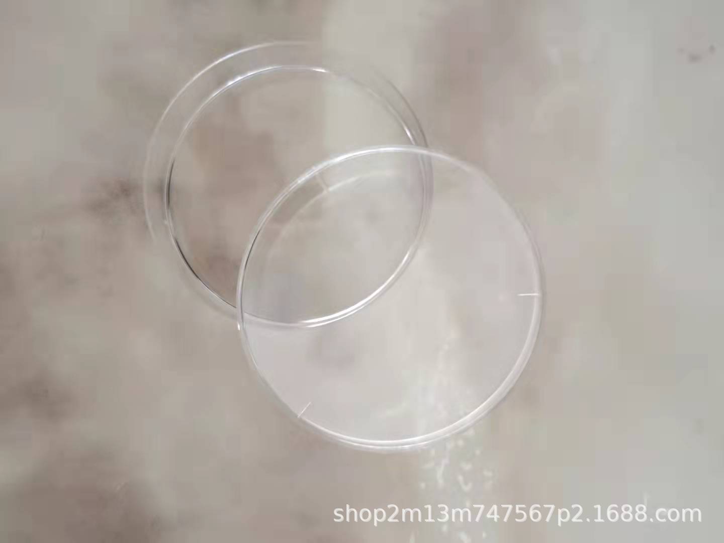 一次性塑料培养皿 细胞培养皿70mm 环氧乙烷灭菌 10套/包