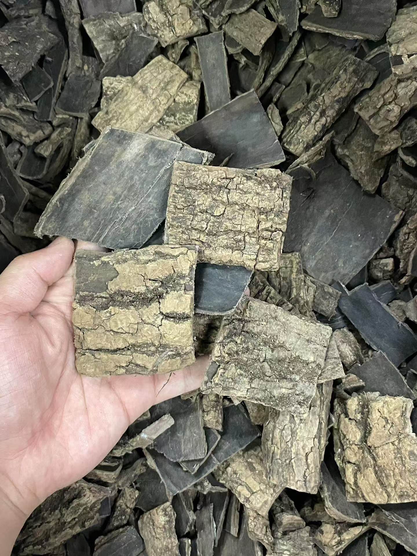 Dried Eucommia Bark Slices Du Zhong 500g Selected Grade for Traditional Herbal Decoction and Soup specifications