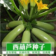 �����J�N�ӽǹϷN�����ϲˈ@�����߲˿������ͺ��͟�������G�߮a