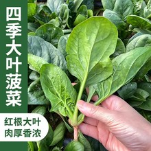 ļNֲ ˷N ~˷N A~Ͳ˷N С~˷N