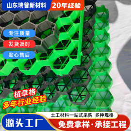 现货植草格停车场用 园林绿化塑料草坪格 平口花口塑料植草格