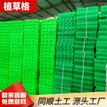 ͣ܇��ֲ�ݸ� �G���ò�ƺ���o�| �o��ֲ�� ���@����ͨ����ֲ�ݸ�