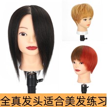 全真发公仔头美发可任意烫染剪发造型发廊学徒手法练习假人头模型