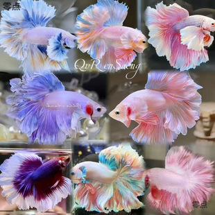 ِ��̩�����~�鼆������Ů���挙��Ꭷ�~�Ꭷ�^�p�~���B�����ͻ�