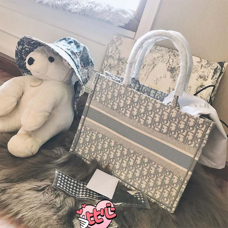 Bolsa de compras de gran capacidad de celebridades de Internet 2024 nuevo bolso portátil de un solo hombro de lona presbiteriana bolso femenino de lujo ligero de nicho