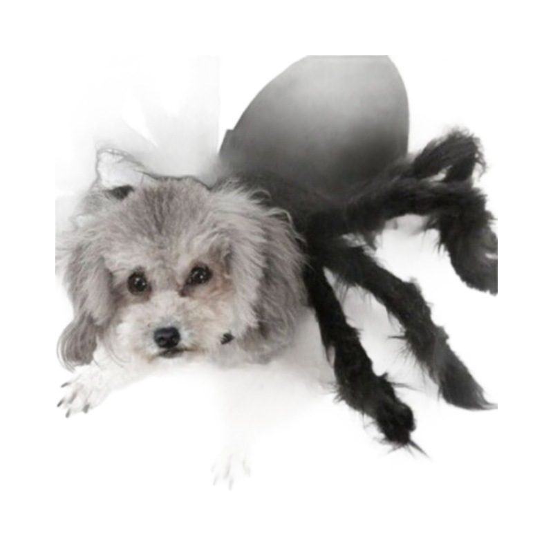 Accesorios para mascotas de Halloween, alas de murciélago, araña para mascotas, disfraces divertidos, gatitos y perros grandes