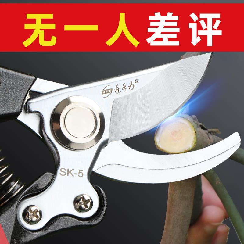 剪枝剪刀园艺果树修树枝剪刀园林花艺花枝剪子省力家伦才