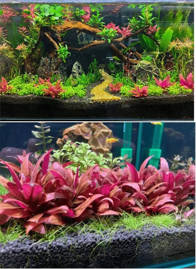 e0153446-6489-4a05-8880-dbba755d51e0.jpe