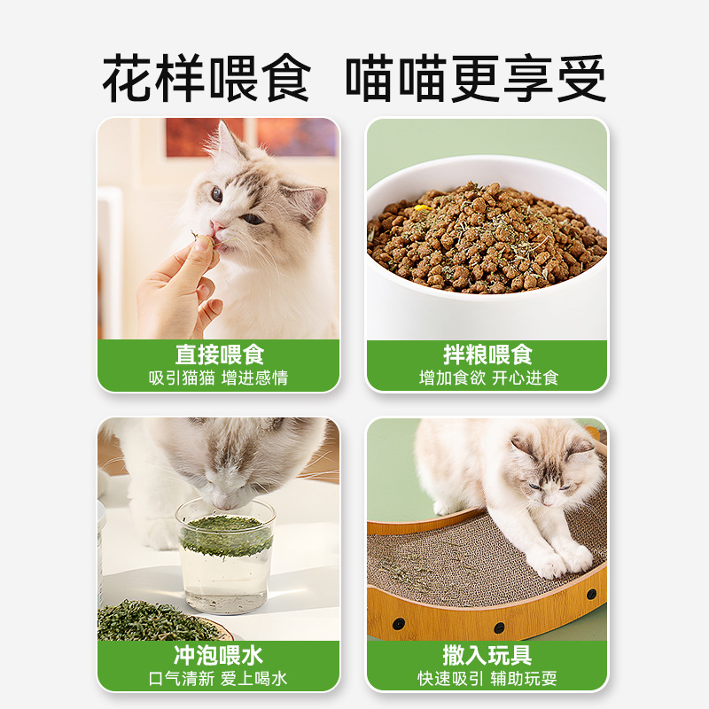 Menta para gatos bocadillos comestibles hojas secas de eliminación de pelo bolas de pelo para gatos Menta en polvo bolas de pelo limpiadoras de la cavidad oral productos estimulantes