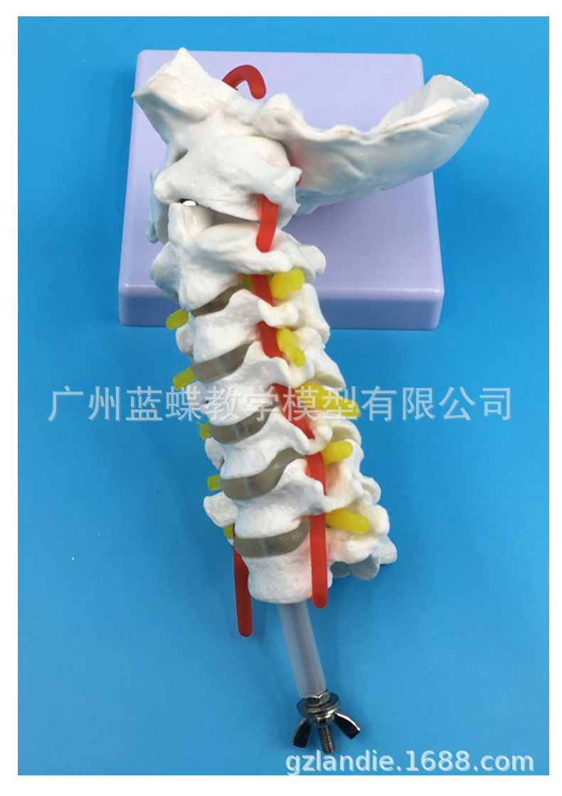 详情_08.jpg