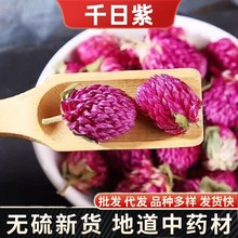 花草茶批发 千日紫 千日红 新货千日紫厂家直销Gomphrena globosa