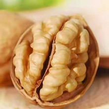 薄皮核桃新疆特产零食新货原味核桃批发厂批发厂一件批发工厂代发