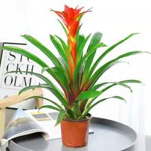 ���\���^�Gֲ�����P�沤�}���҃ȿ͏d�辰��������՚����Դ�t��