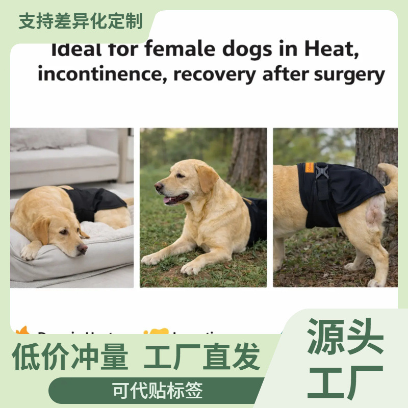 Female Dog Physiological Pants, Menstrual Pants, Pet Diapers, Anti-Harassment Belt for Pomeranian, Bichon, Golden Retriever