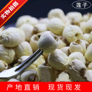 ��ɏ�Ӹ�؛ȥо ĥƤ��ɏ�Ӯa�����l���r����ɏ ɢ�bɏ�Ӱٺϲ�