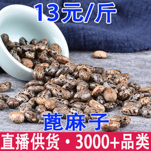 ������ �����ѷN�� �ڼt������������l���l