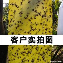 ճ�x���T�x���p���S���{��S�����l�Sɫմ�x���r�I�E�R�@�ֲ��x�N