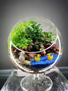 Micro landscape globe