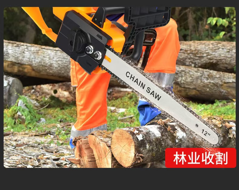 微信图片_20241124210839