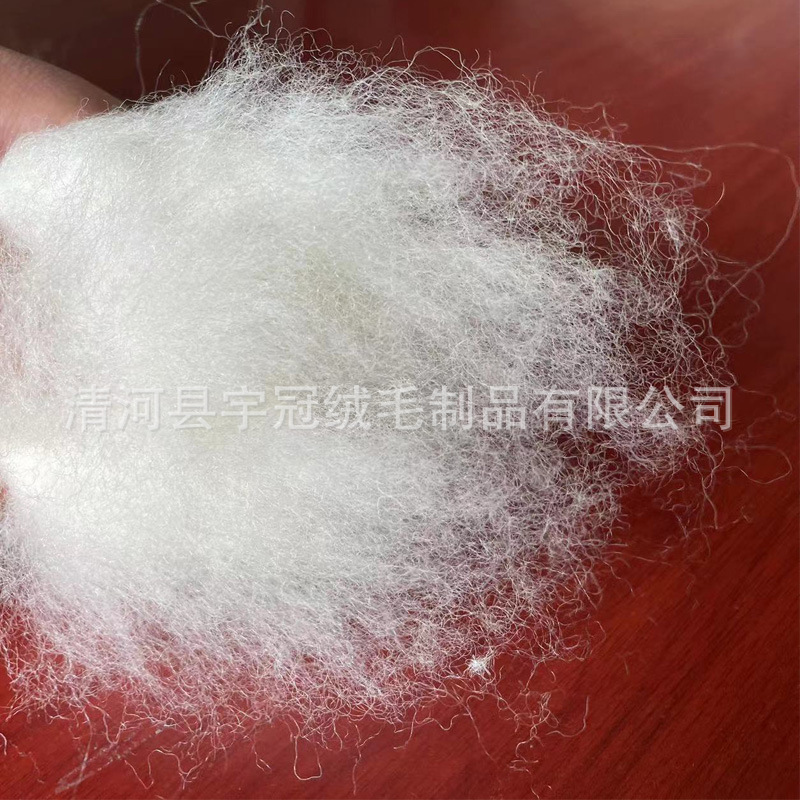 Supply high quality 100% New Zealand wool combed animal fiber textile wool raw material bedding filling without impurities