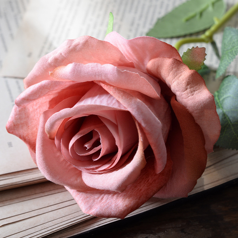 Large velvet rose autumn powder