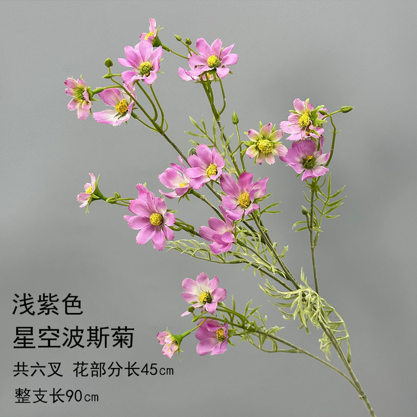 스타 코스모스-라이트 퍼플