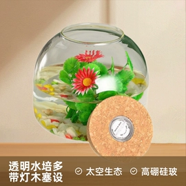 微景观瓶;密封盒储物罐;玻璃杯