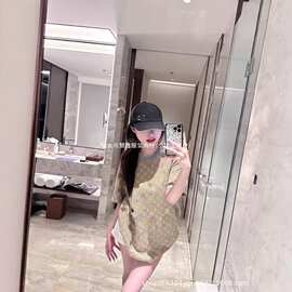 跨境正确版V家经典满印提花灰橙针织短袖T恤毛织 常年现货