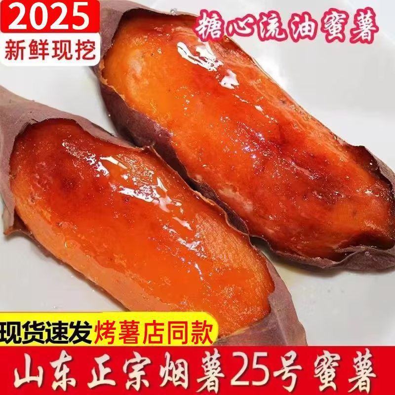 山东烟薯25号蜜薯新鲜现挖红薯糖心番薯沙地烤地瓜小山芋跨境贸易