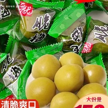 晋龙爽口梅500g清脆爽梅子青口梅小包装新鲜大青脆梅青梅果干零食