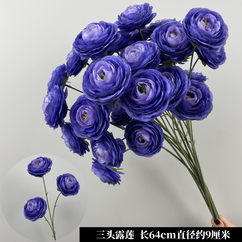 노란색 진한 보라색 3 머리 연꽃