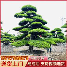 �_�h�����͘����M���辰�䘶���ʹ��̈́e��ͥԺ���͘�ӭ����