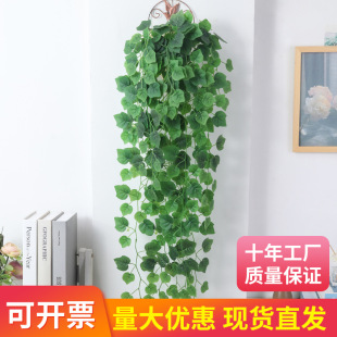 ����G�}�ڒ�ֲ����~�����Gֲ�b͏d�b��ٗl���r�ٗl���R�d