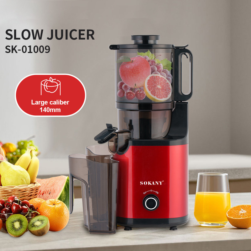 Cross-border European standard original juicer large diameter slow squeezer 800W multifunctional household juicer 800W