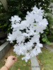 White wedding simulation flower wholesale Korean show wind, white wedding road, flowers, blooming hands, fake flowers