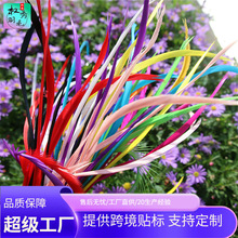 义乌厂家直销单边丝羽毛天鹅毛工艺装饰羽毛diy染色彩色羽毛