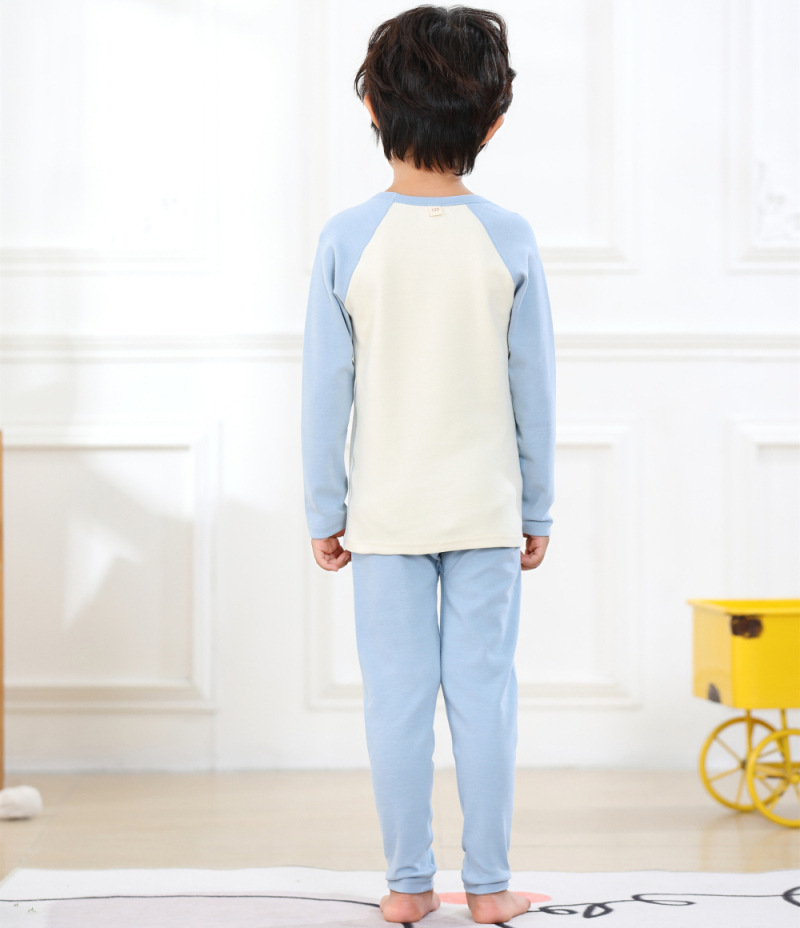 S8072-灰蓝恐龙 (2).jpg