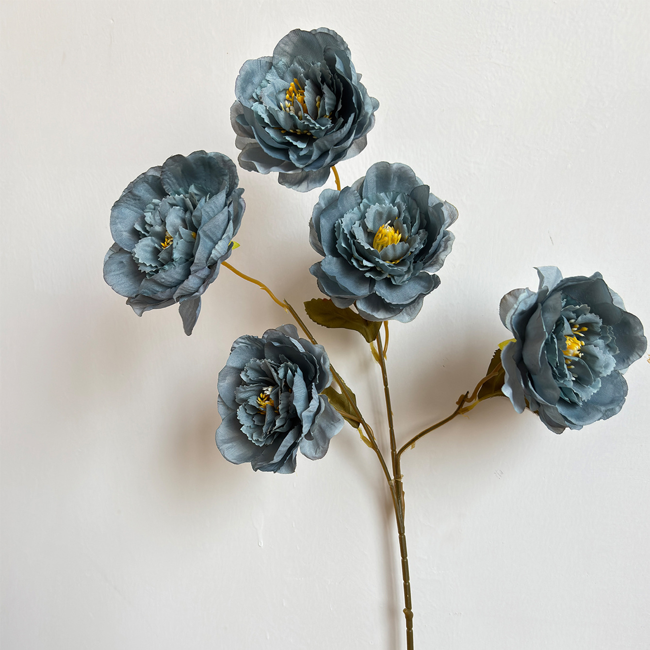 헤이즈 블루 5 모란 1 가지