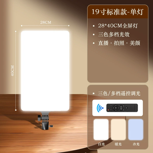 [19-inch full screen] Single lamp standard