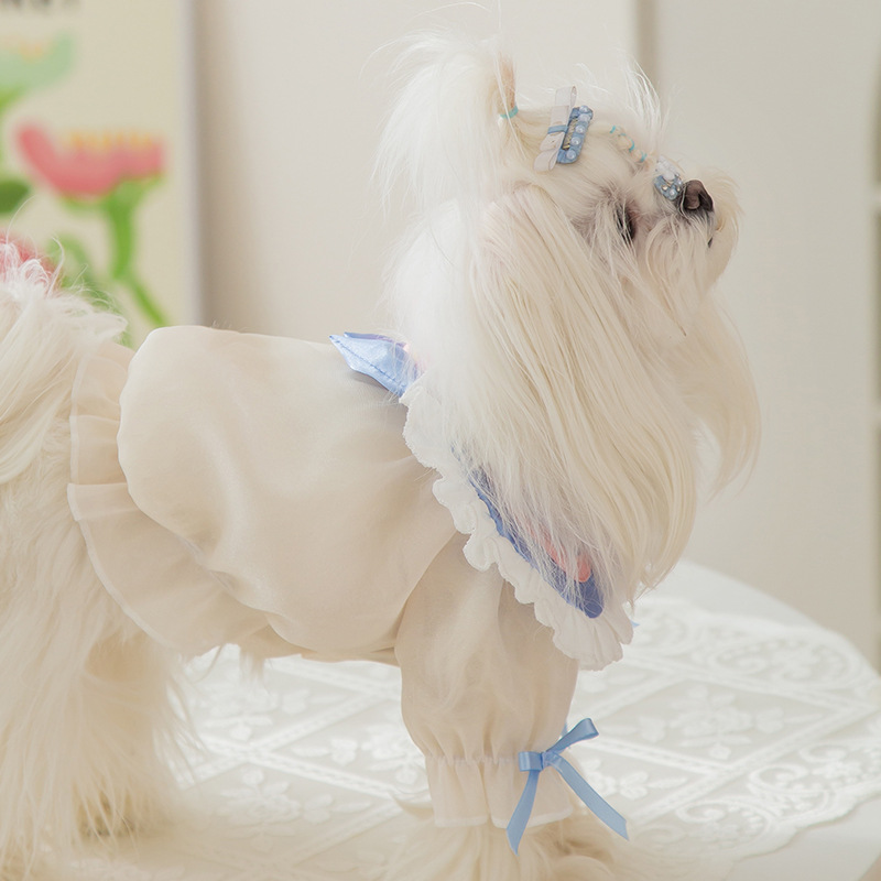 La primavera y el verano perro se convierte en hermosa chica estrella falda de encaje princesa estilo gato malla de dos patas ropa de perro mascota