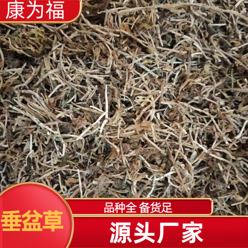 Chui Pen Cao (Sedum sarmentosum) — Dried Chinese Herbal Decoction Pieces, 500g key features