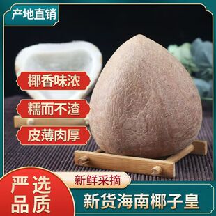ӡ��Ҭ�ӻʴ�Ҭ����ƬҬ����o������Ҭ�����rҬ���u�Ҝ�����500g
