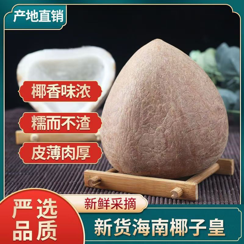 印度椰子皇大椰皇切片椰子肉无壳海底椰王新鲜椰子鸡煲汤材料500g