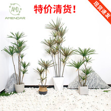 �t߅/�G߅����ǧ��ľ�٘��҃��쾰���m�F��Gֲ�����F�߲��Rβ�F