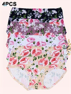 4 Pack Plus Size Elegant Panties Set, Women's Plus Comfort