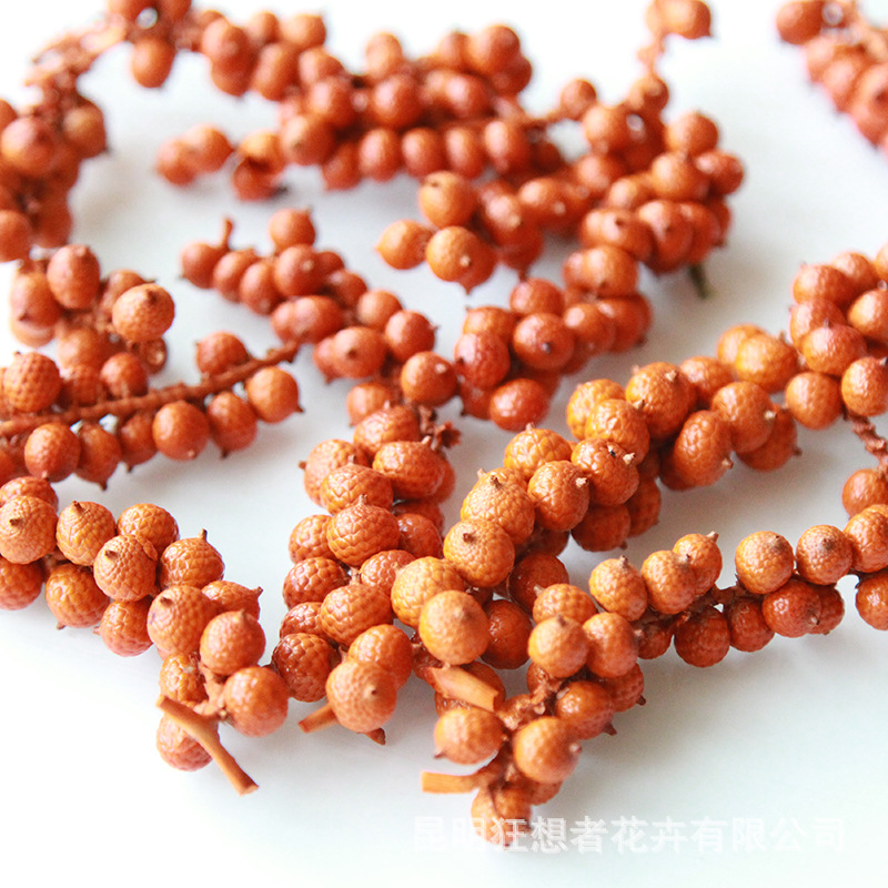 Cành nhỏ quả ngọc trai màu cam (một túi 20g, khoảng 8 xiên)