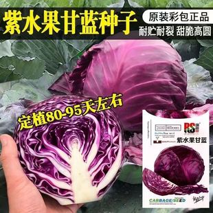 �ϸ��{�N�Ӱ��Ĳ���ɫ���Ĳ��ϰ��˷N��ԭ�b�ļ��߲˷N�Ӵ�ȫ���l